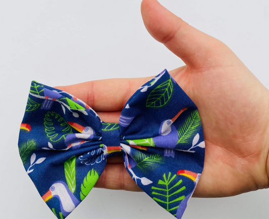 Toucans Bow